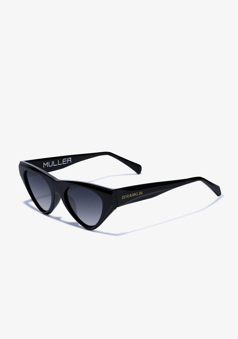 D.Franklin sunglasses MULLER BLACK / BLACK
