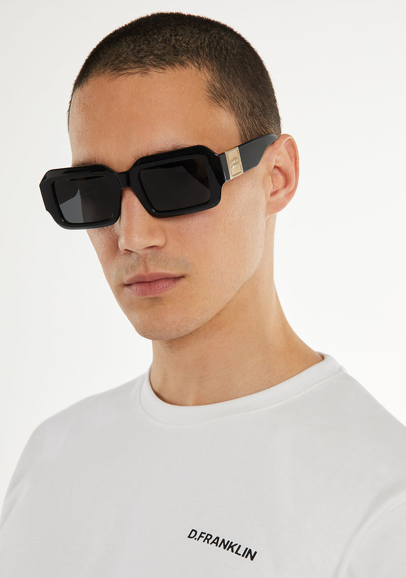 D.Franklin sunglasses EMBLEM GEO BLACK / SMOKE Men
