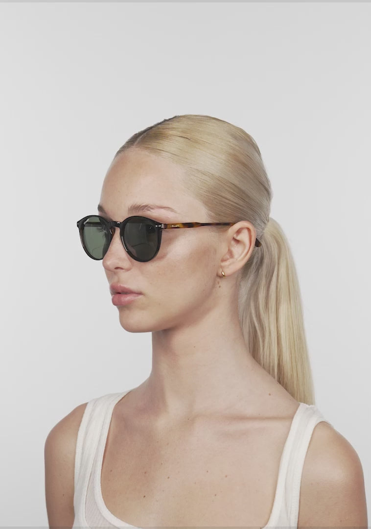 D.Franklin_sunglasses_Max_CAREY_G15